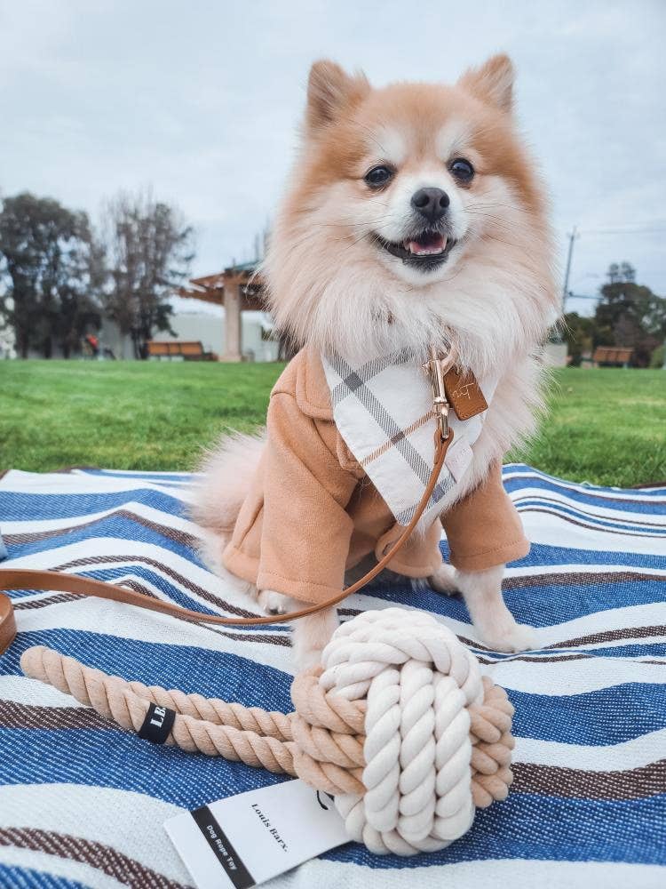 Eco friendly Dog Rope Toy - Twisted Dog Toy