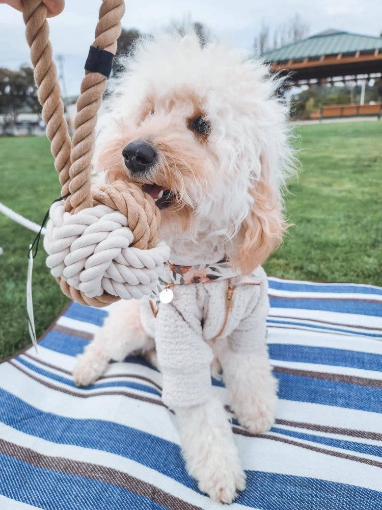 Eco friendly Dog Rope Toy - Twisted Dog Toy