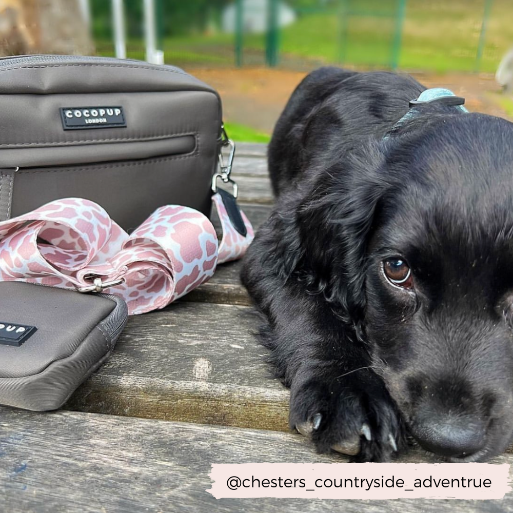 Dog Walking Bag - Mocha