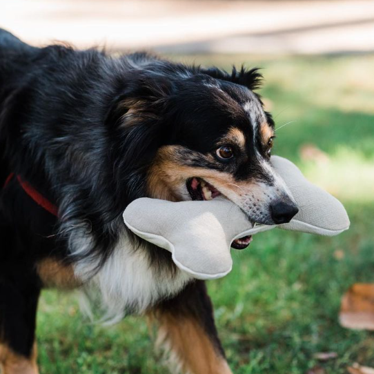 Boba & Vespa Plush Hemp Dog Toy Bone for Gentle Chewers