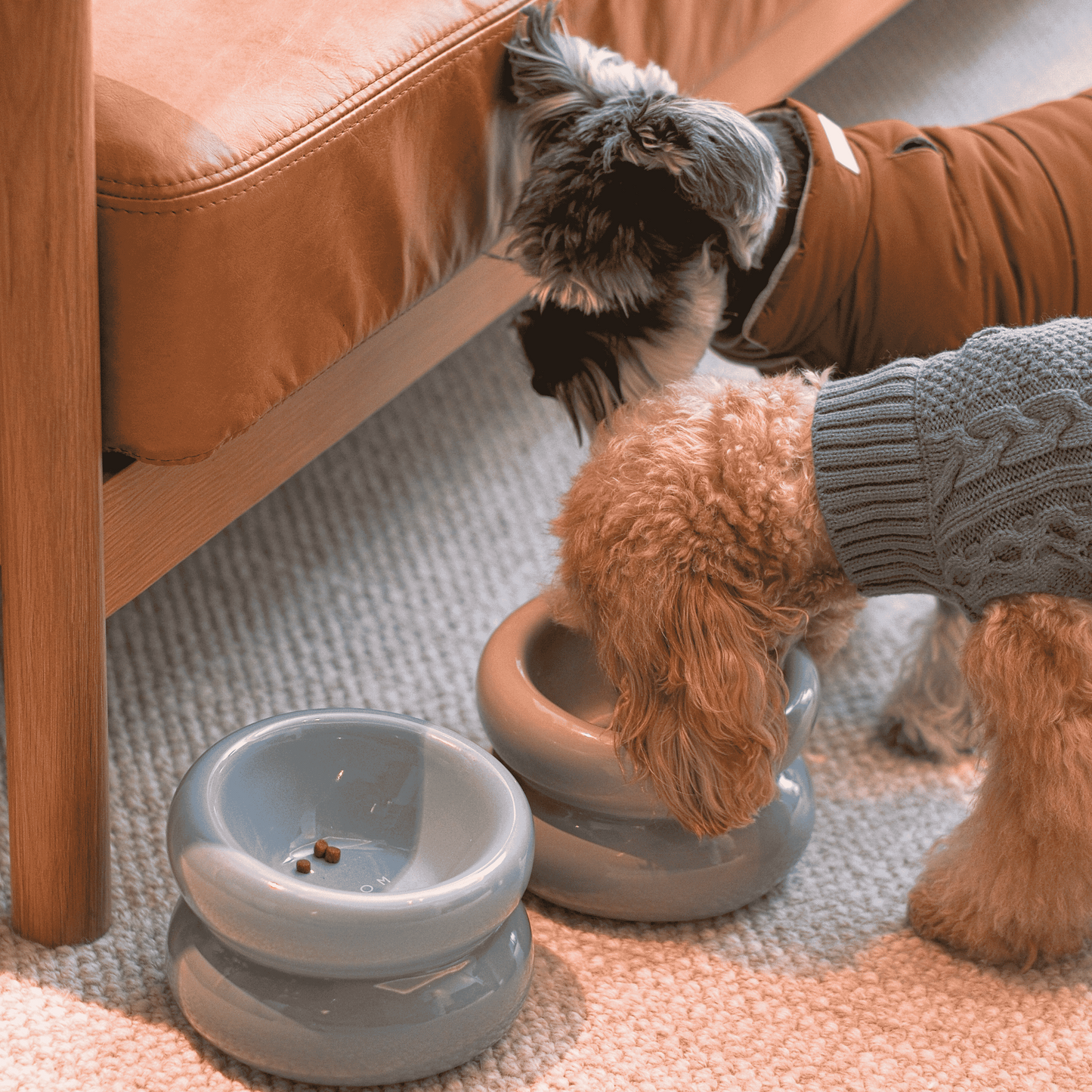 Soufflé Pet Bowl - Frozen Blue