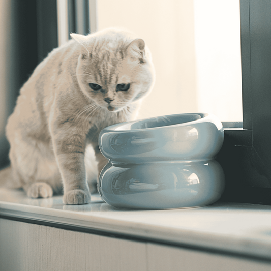 Soufflé Pet Bowl - Frozen Blue