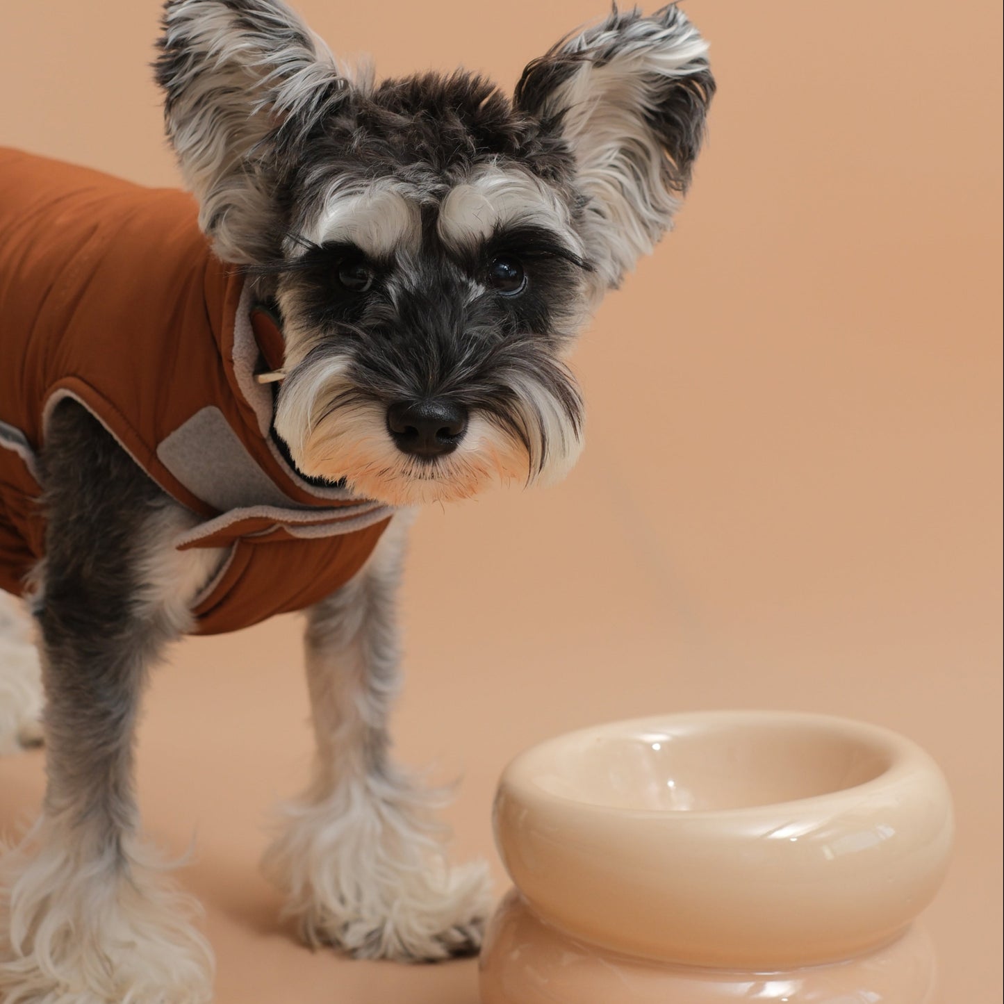 Soufflé Pet Bowl - Cream Beige